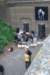 _05180009_small.jpg